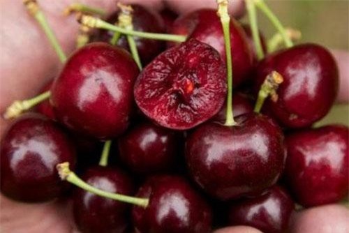 NÔNG SẢN MỸ GIÁ RẺ Ồ ẠT VỀ VIỆT NAM